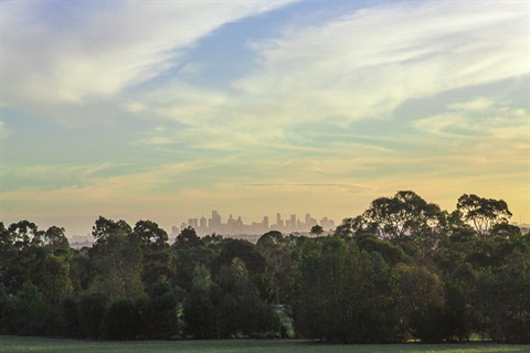 View overlooking parklands with Melbourne City silhouette in the background
