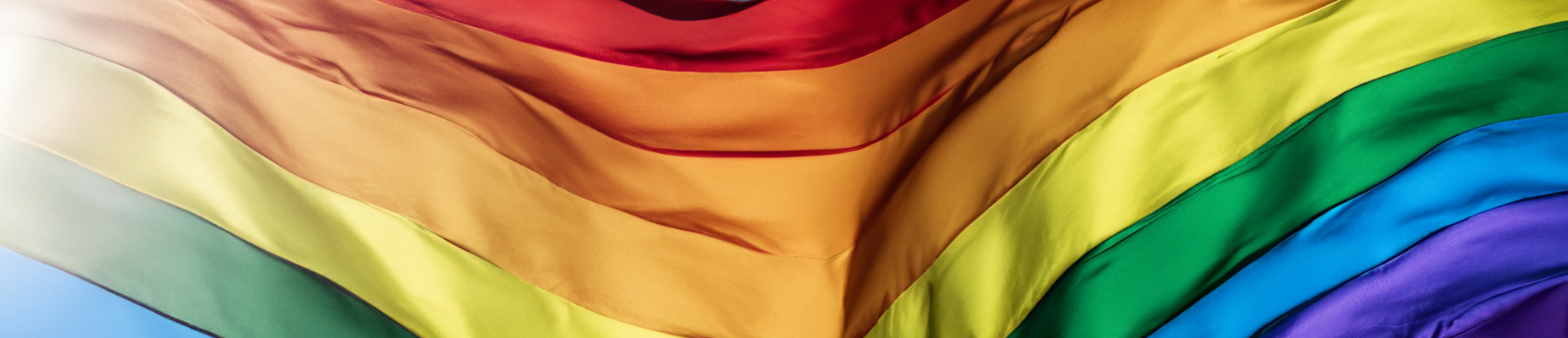 banner pride flag rainbow