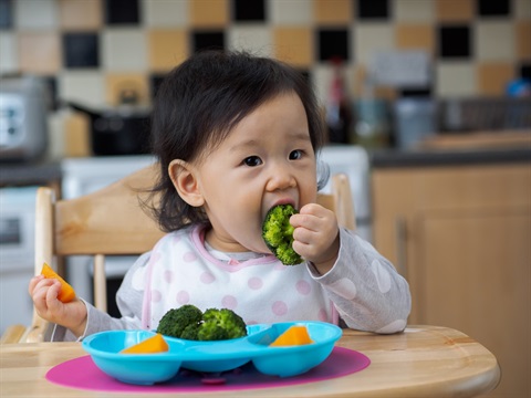 infant eating food with hands.jpg