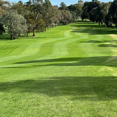 Golf course with a person playing golf