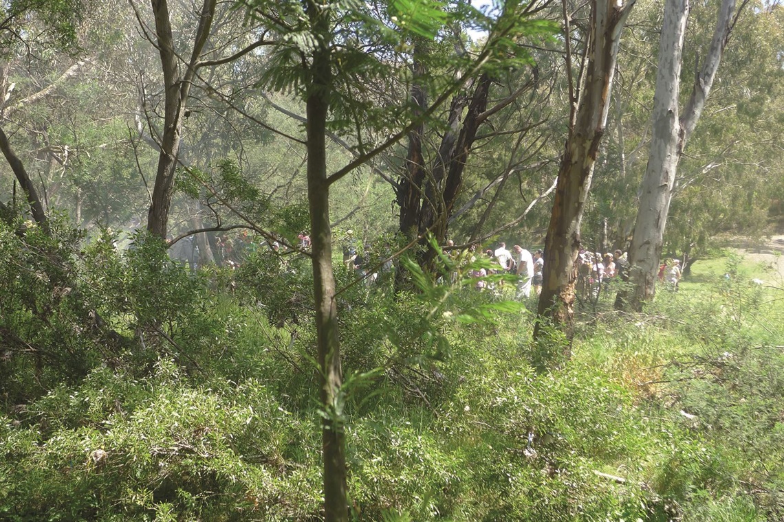 Darebin Parklands Spiritual Walk